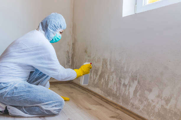 Licensed Mold Remediation service in Clinton, NC - WQB Mold Removal