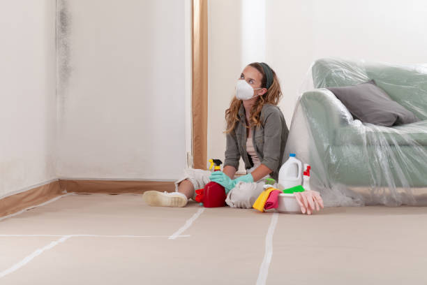 Reliable Mold Remediation contractor in Clinton, NC by WQB Mold Removal